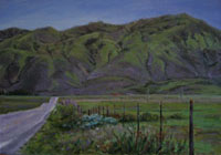 The thumb